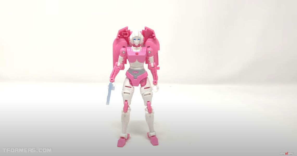 custom earthrise arcee